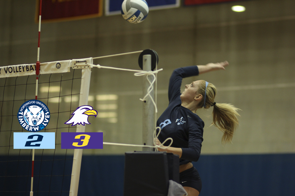 Volleyball Falls In Five At Ashland