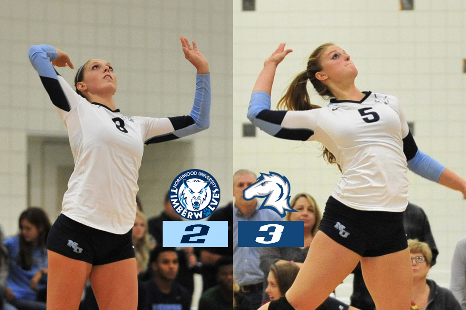 Volleyball Falls In Five To Hillsdale