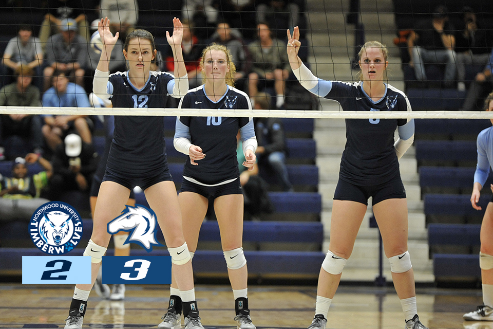 Volleyball Falls In Five Versus Hillsdale